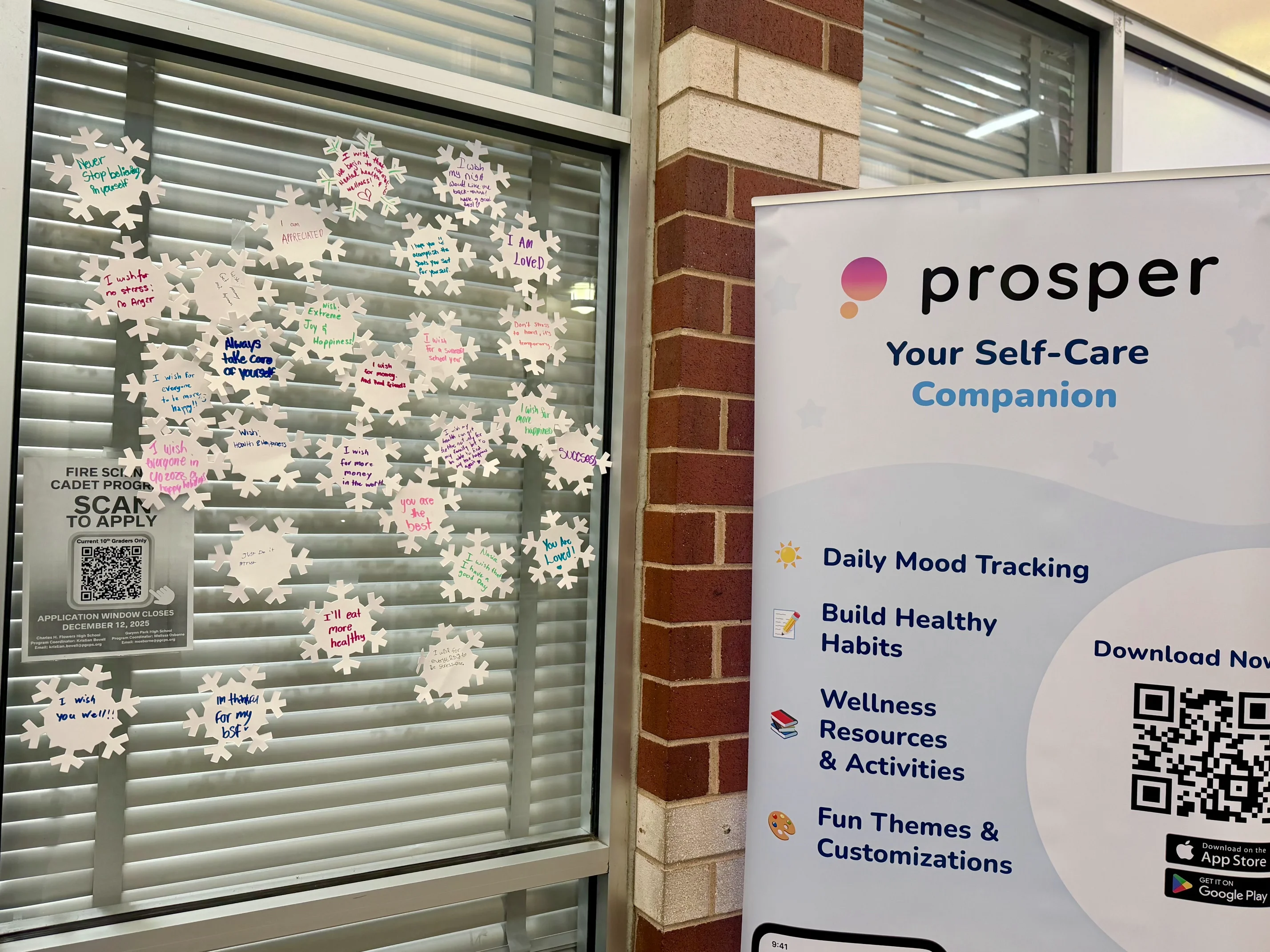 Prosper for Schools — photo 12
