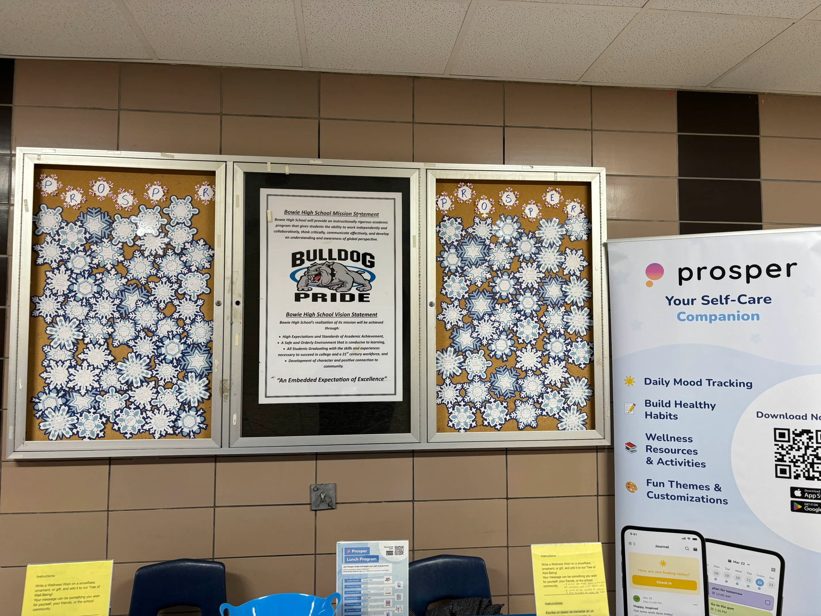 Prosper for Schools — photo 14